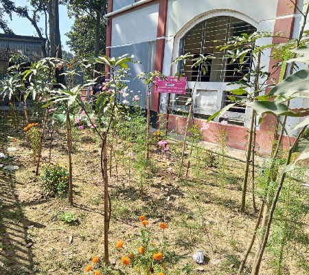 স্কুল বাগান